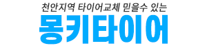 안전운전을 위한 타이어  구매는 몽키타이어